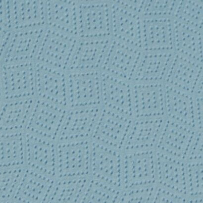 Czyściwo celulozowe dwuwarstwowe 22x36cm (niebieskie)