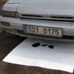 Mata sorpcyjna cienka, gładka