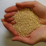 Sypki sorbent mineralny uniwersalny BINSORB PLUS